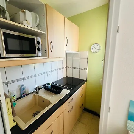 Apartment Argeles: Climatise Proche Avec Balcon, 4 Couchages - Fr-1-309-386