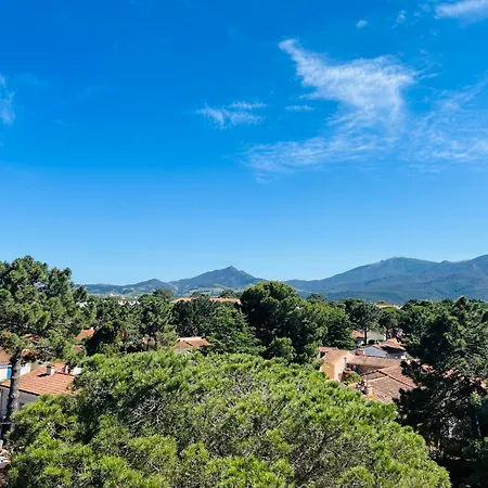 Apartment Argeles: Climatise Proche Avec Balcon, 4 Couchages - Fr-1-309-386 Argeles-sur-Mer